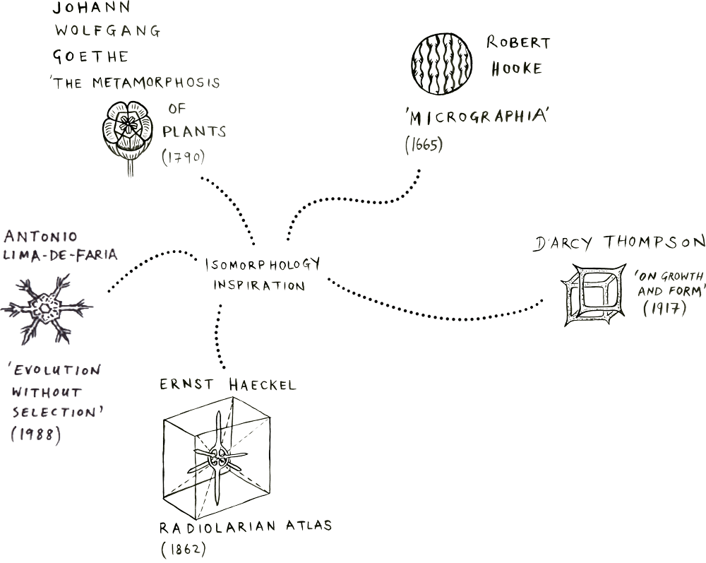 Isomorphology inspiration diagram